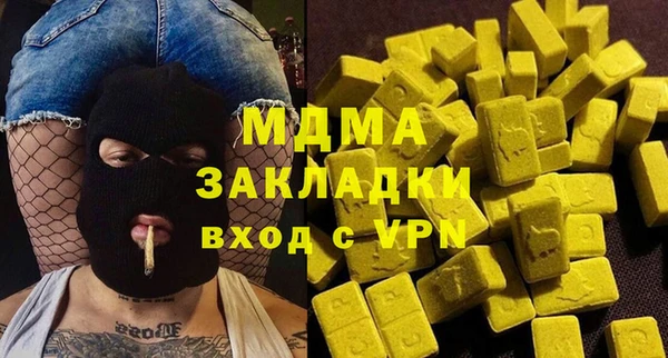 гашик Ельня