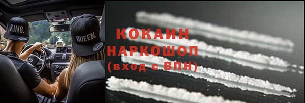 гашик Ельня