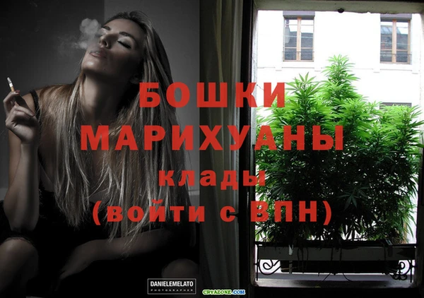 гидропоника Елабуга