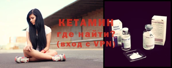 гашик Ельня