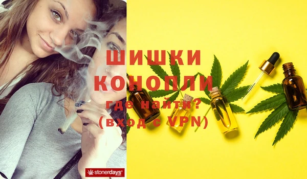 гашик Ельня