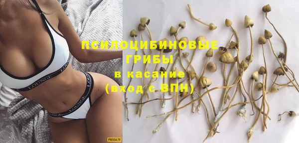 гидропоника Елабуга
