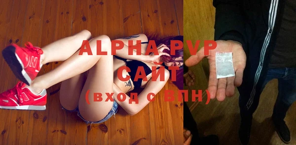 гашик Ельня